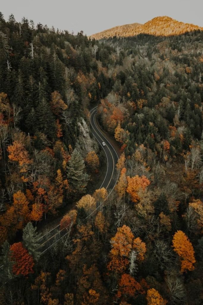 Blue Ridge Parkway