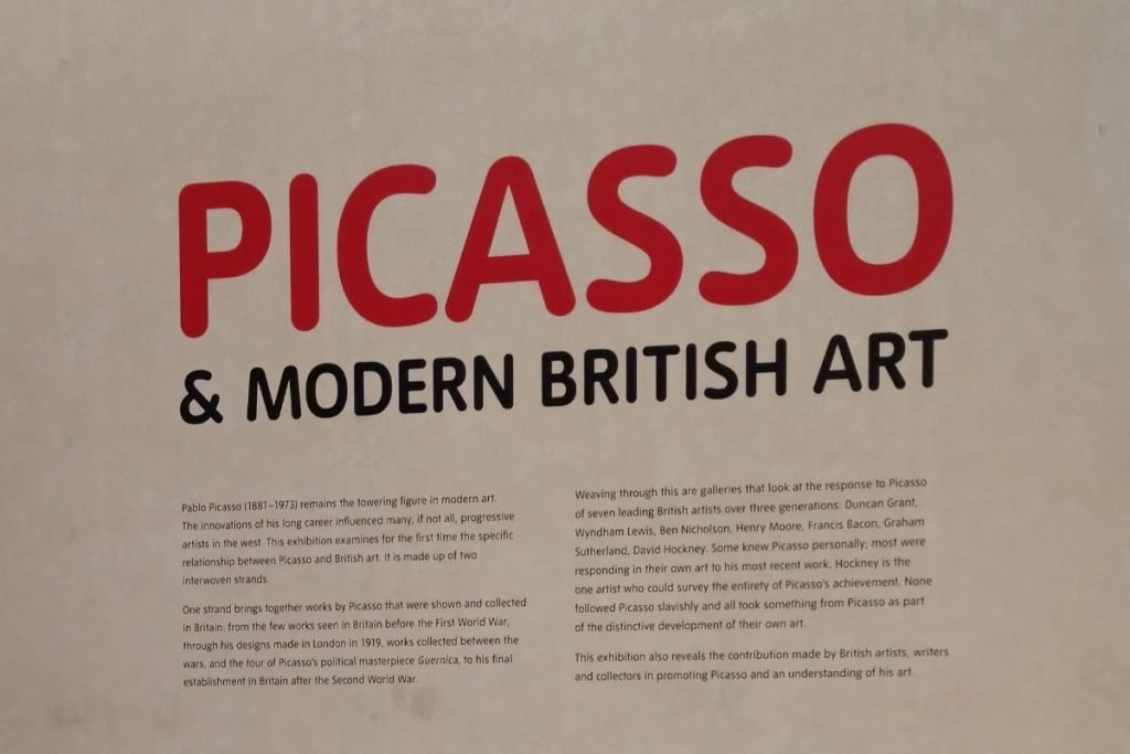 motorcycle touring tyres - picasso exhibit